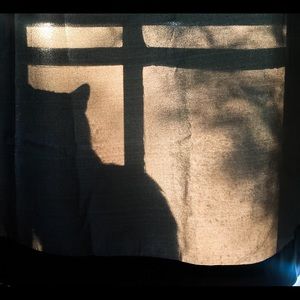 Meet your Posher, Casey